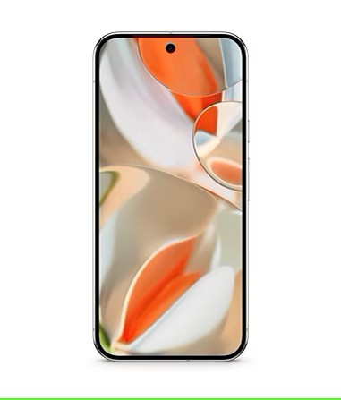Pixel 9 Pro XL Display Screen